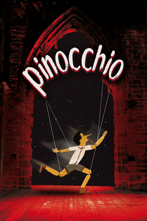 Affiche Pinocchio 2014